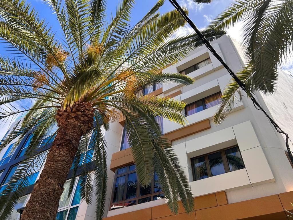 לאס פאלמס דה גראן קנאריה Hjs Guest House - The Majestic Loft מראה חיצוני תמונה